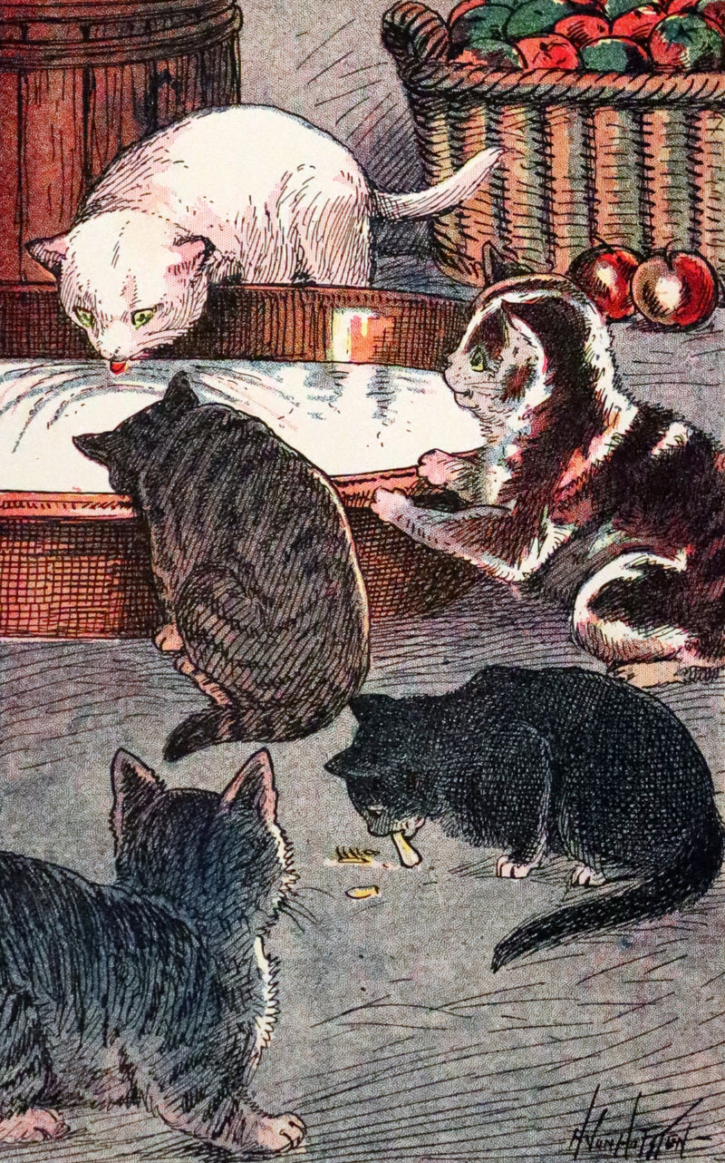 1908 Scarce 1stEd with Dust Jacket - Cats and Kitts by Frances Trego Montgomery illustrated by Hugo Von Hofsten.
