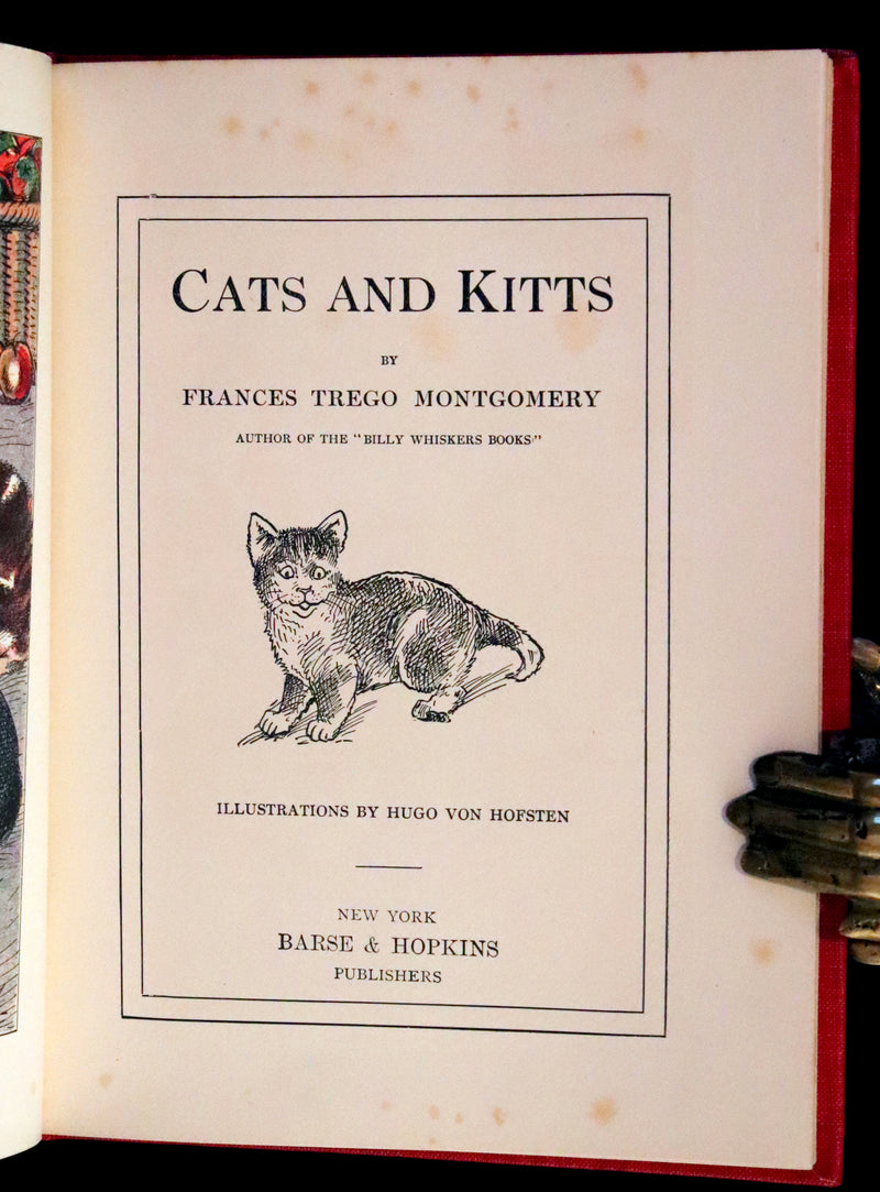 1908 Scarce 1stEd with Dust Jacket - Cats and Kitts by Frances Trego Montgomery illustrated by Hugo Von Hofsten.