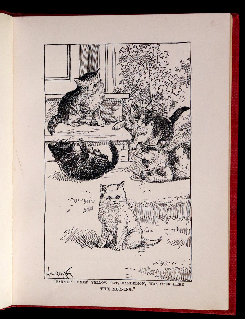 1908 Scarce 1stEd with Dust Jacket - Cats and Kitts by Frances Trego Montgomery illustrated by Hugo Von Hofsten.