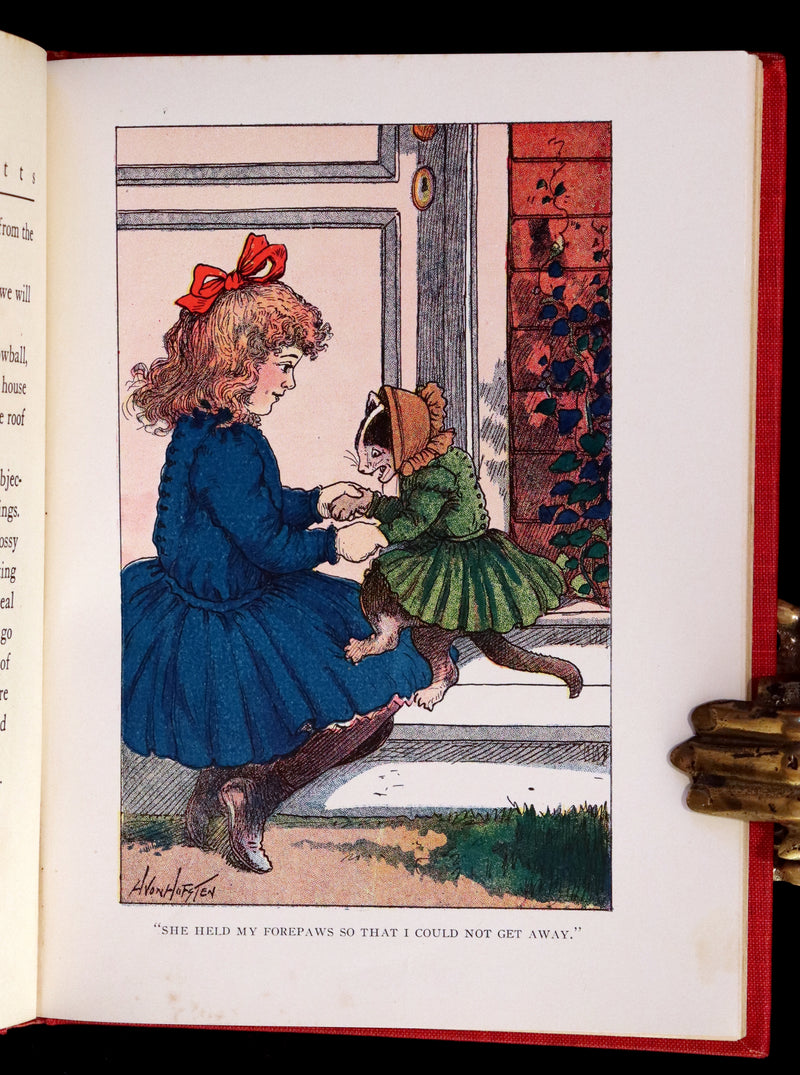 1908 Scarce 1stEd with Dust Jacket - Cats and Kitts by Frances Trego Montgomery illustrated by Hugo Von Hofsten.