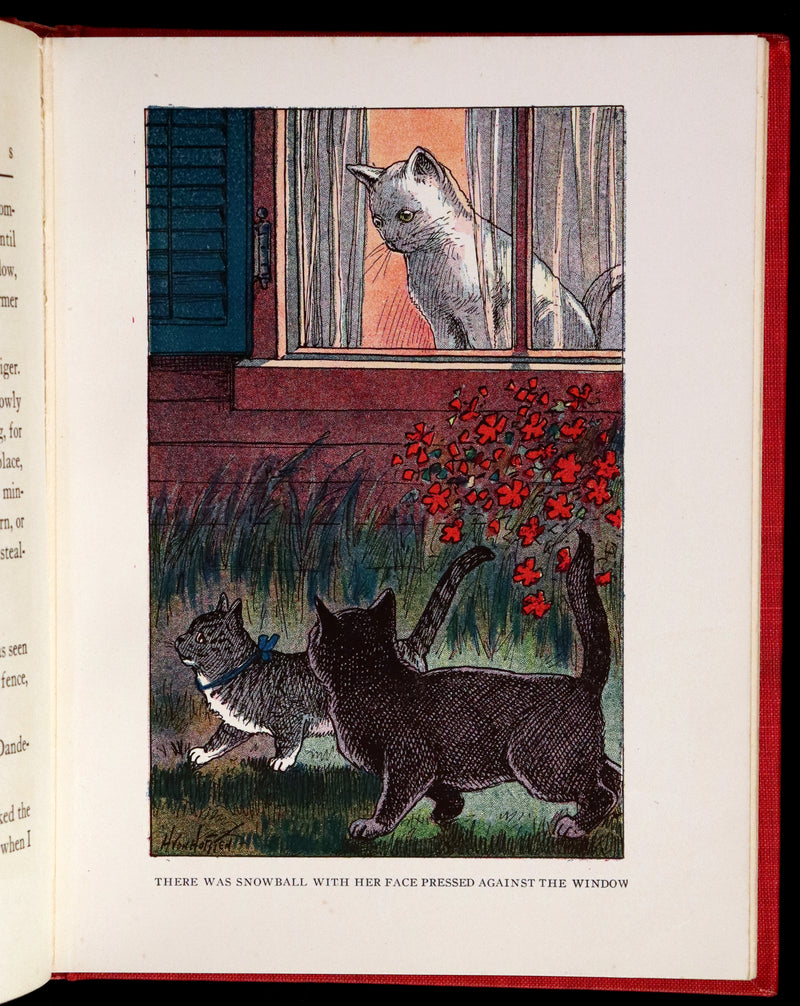 1908 Scarce 1stEd with Dust Jacket - Cats and Kitts by Frances Trego Montgomery illustrated by Hugo Von Hofsten.