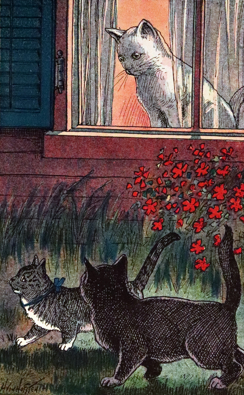 1908 Scarce 1stEd with Dust Jacket - Cats and Kitts by Frances Trego Montgomery illustrated by Hugo Von Hofsten.