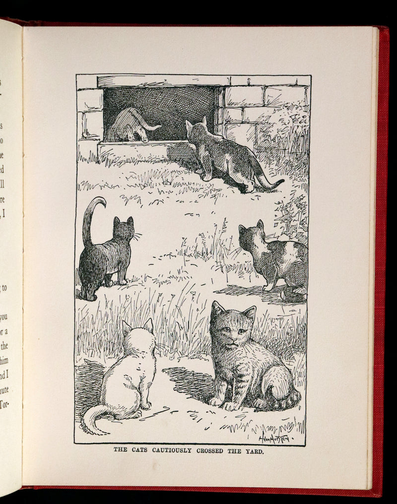 1908 Scarce 1stEd with Dust Jacket - Cats and Kitts by Frances Trego Montgomery illustrated by Hugo Von Hofsten.