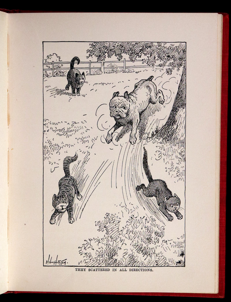 1908 Scarce 1stEd with Dust Jacket - Cats and Kitts by Frances Trego Montgomery illustrated by Hugo Von Hofsten.