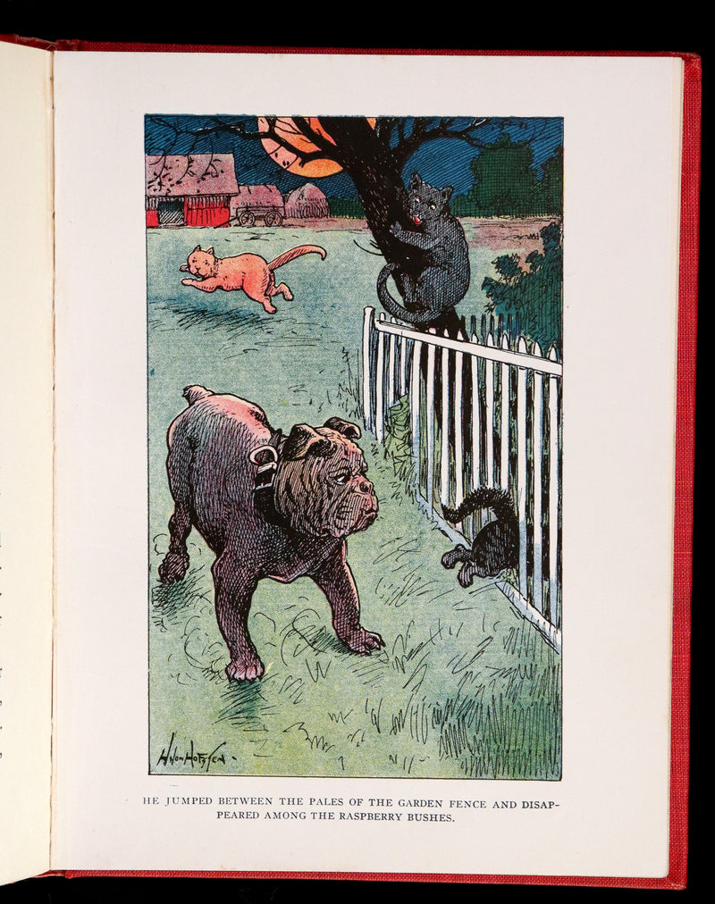 1908 Scarce 1stEd with Dust Jacket - Cats and Kitts by Frances Trego Montgomery illustrated by Hugo Von Hofsten.