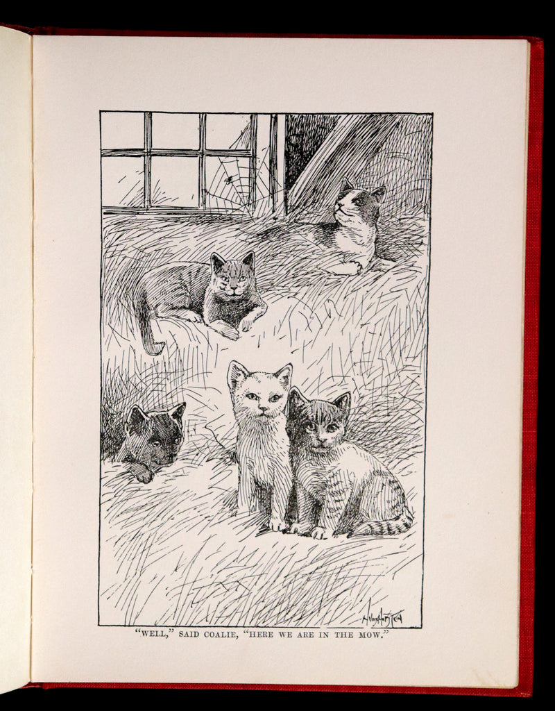 1908 Scarce 1stEd with Dust Jacket - Cats and Kitts by Frances Trego Montgomery illustrated by Hugo Von Hofsten.