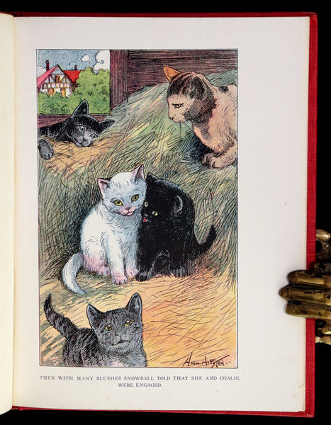 1908 Scarce 1stEd with Dust Jacket - Cats and Kitts by Frances Trego Montgomery illustrated by Hugo Von Hofsten.