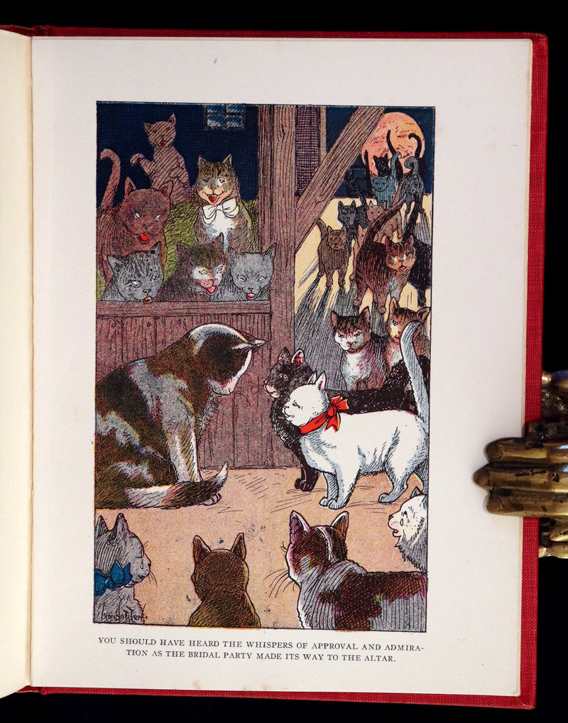 1908 Scarce 1stEd with Dust Jacket - Cats and Kitts by Frances Trego Montgomery illustrated by Hugo Von Hofsten.