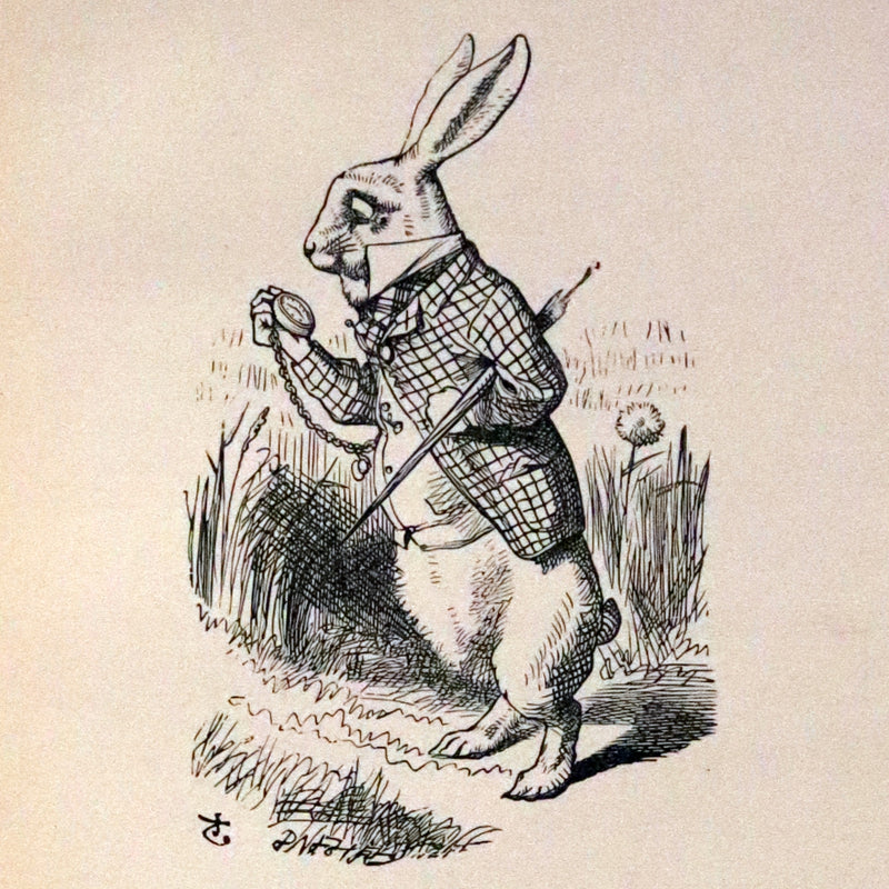 1902 Scarce Edition in Blue - ALICE'S ADVENTURES IN WONDERLAND by Lewis Carroll.