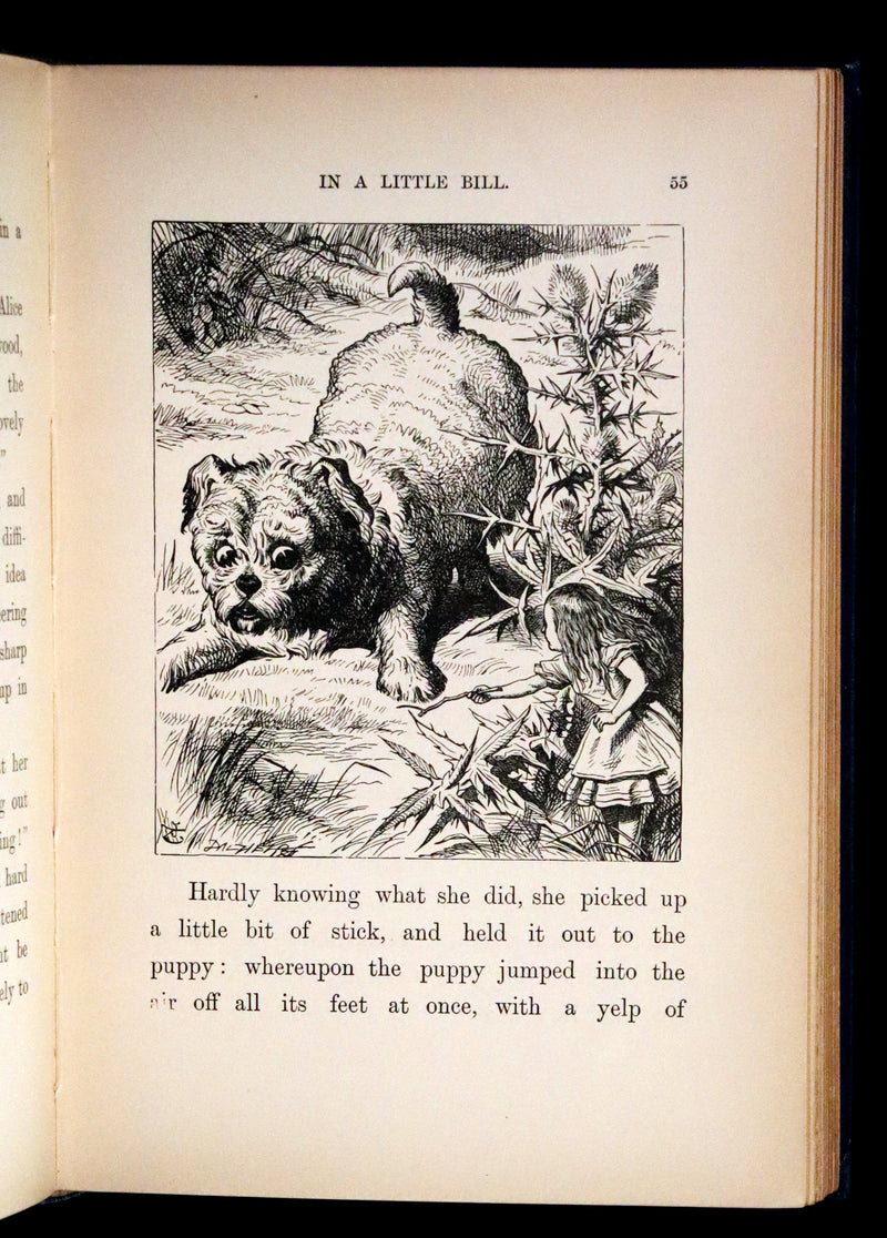 1902 Scarce Edition in Blue - ALICE'S ADVENTURES IN WONDERLAND by Lewis Carroll.