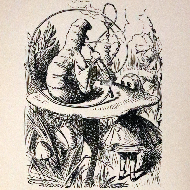 1902 Scarce Edition in Blue - ALICE'S ADVENTURES IN WONDERLAND by Lewis Carroll.