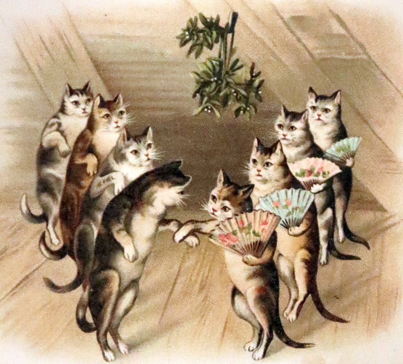 1890 Scarce Victorian Book ~ Cat-Tales, Original Poems by Edward Oxenford.