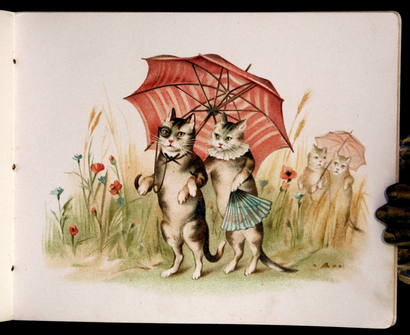 1890 Scarce Victorian Book ~ Cat-Tales, Original Poems by Edward Oxenford.