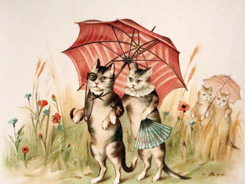 1890 Scarce Victorian Book ~ Cat-Tales, Original Poems by Edward Oxenford.