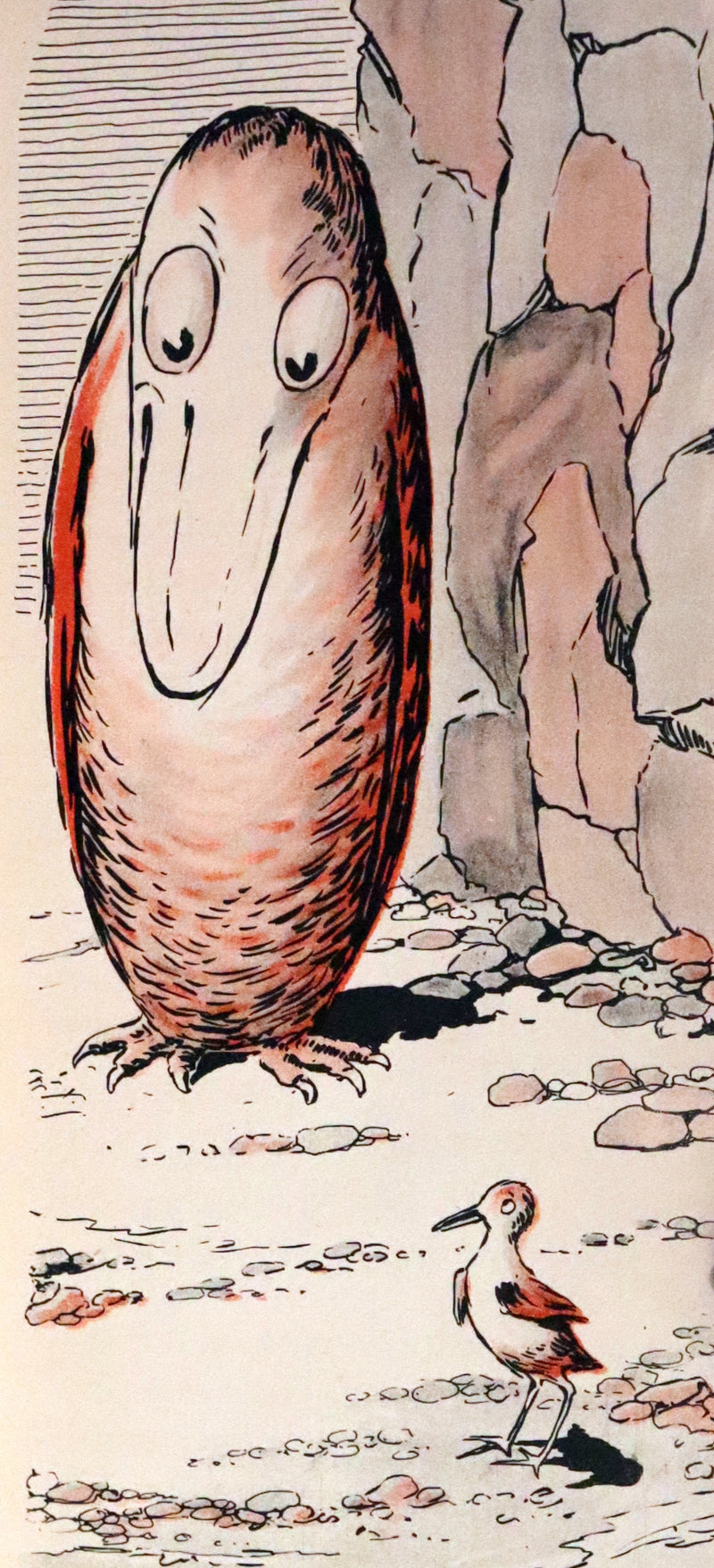 1910 First Edition MotionToy Book ~ Boggle Beak by Jean Woods Finley.