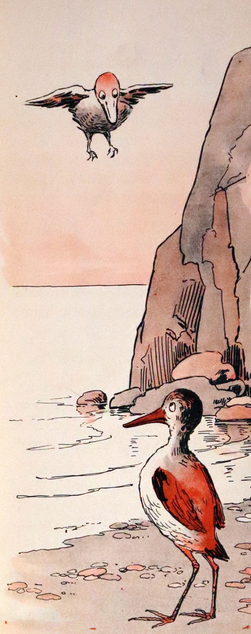 1910 First Edition MotionToy Book ~ Boggle Beak by Jean Woods Finley.