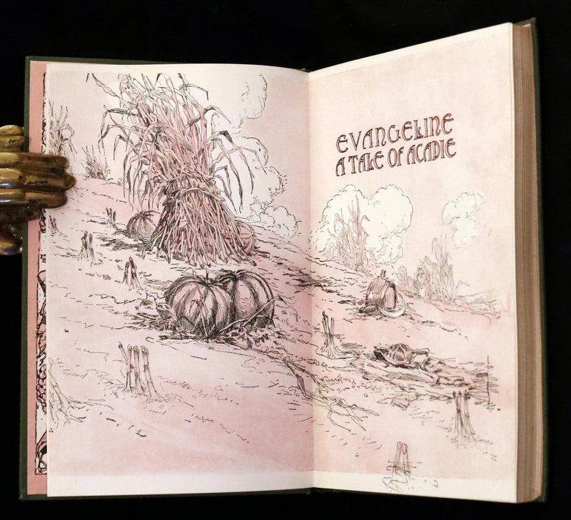 1909 First illustrated Edition by John Rea Neill - Evangeline, A tale of Acadie by Henry Wadsworth Longfellow.