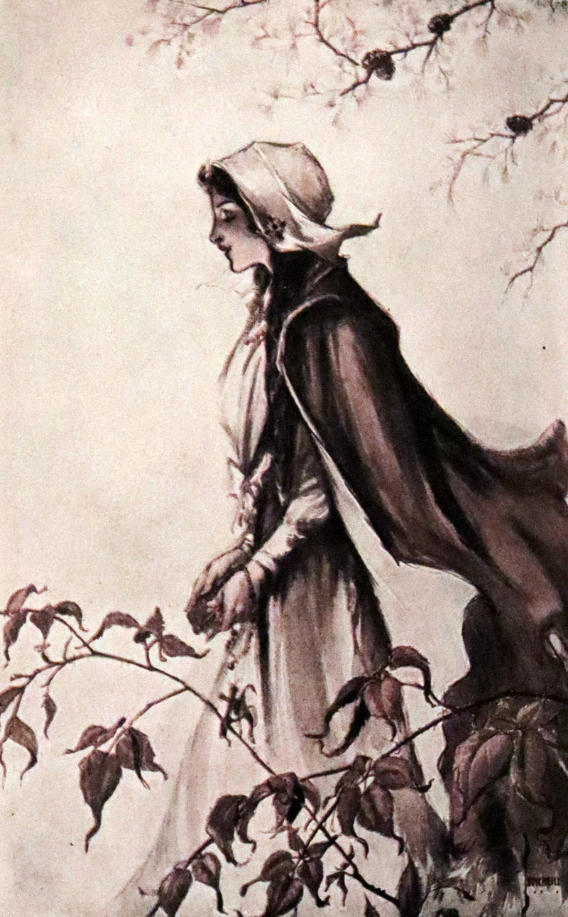 1909 First illustrated Edition by John Rea Neill - Evangeline, A tale of Acadie by Henry Wadsworth Longfellow.