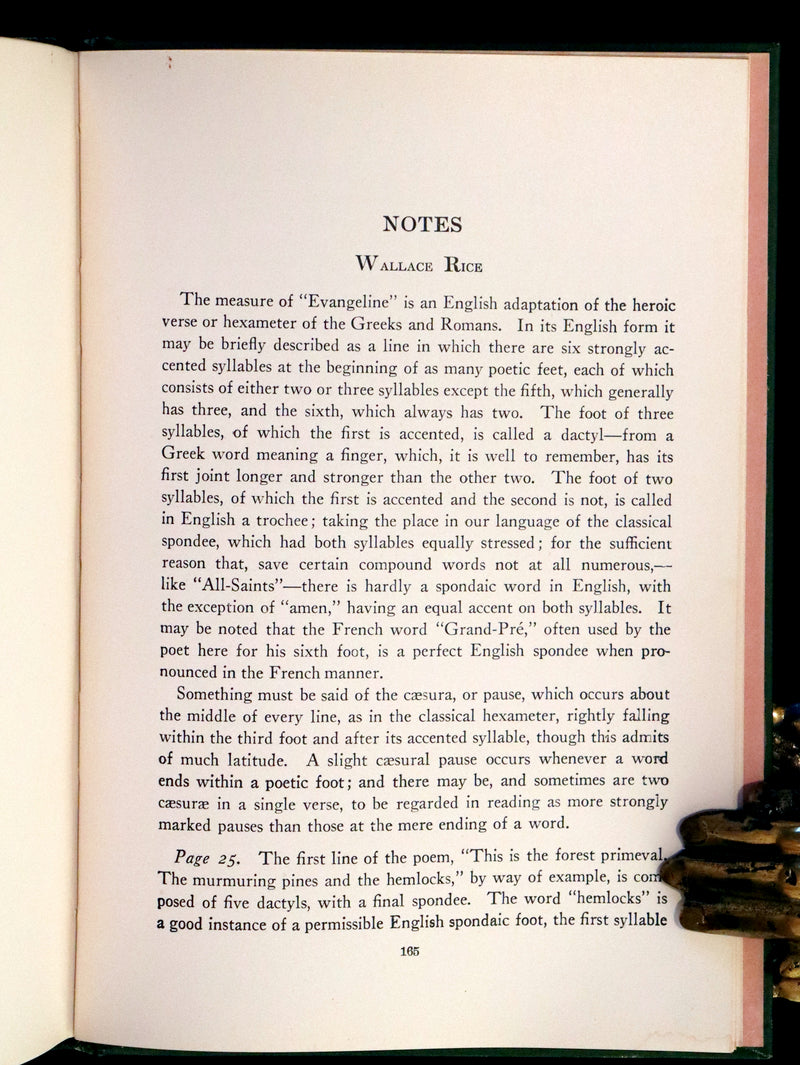 1909 First illustrated Edition by John Rea Neill - Evangeline, A tale of Acadie by Henry Wadsworth Longfellow.