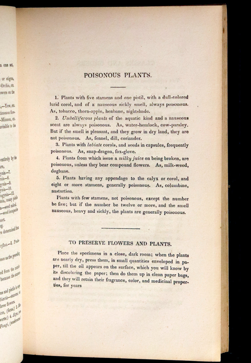 1848 Rare Floriography Book ~ Flora's Interpreter and Fortuna Flora by Sarah Josepha Hale.
