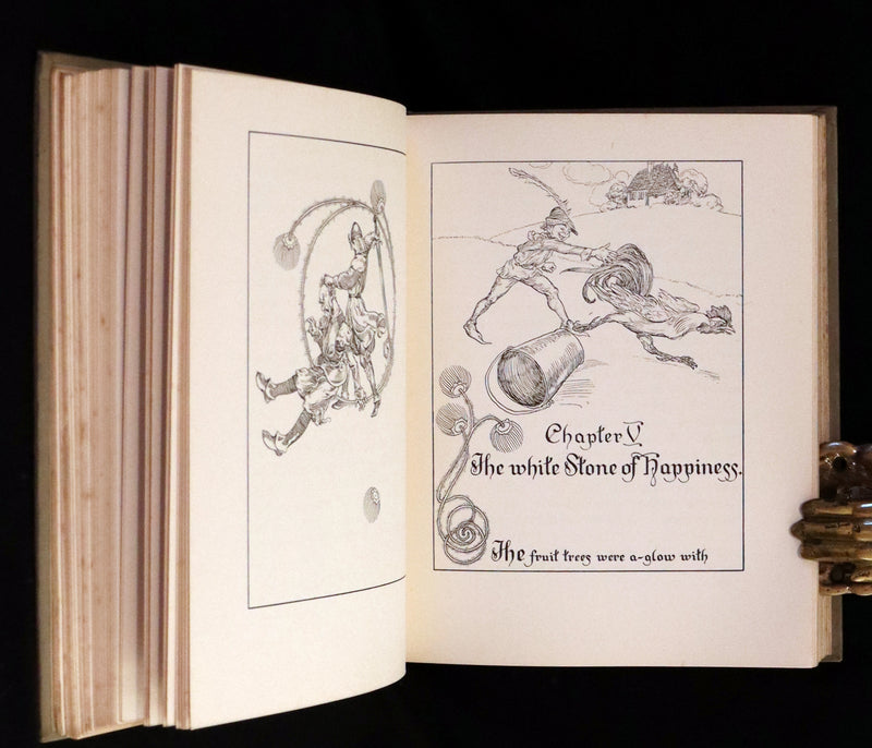 1912 Rare First Edition - The Fairies and the Christmas Child illustrated by Willy Pogany.