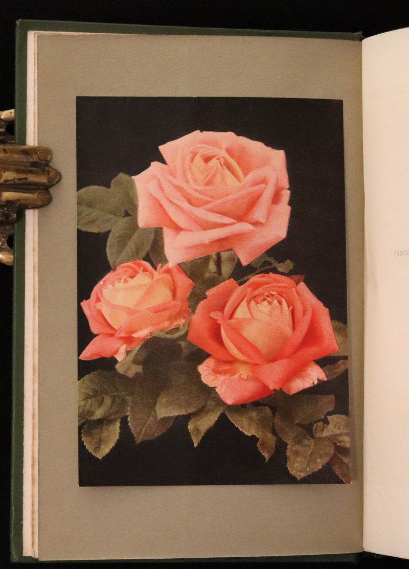 1913 Scarce First Edition - THE ROSE BOOK, A Complete Guide for Amateur Rose Growers by H.H. Thomas.