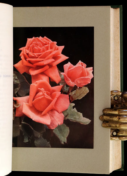 1913 Scarce First Edition - THE ROSE BOOK, A Complete Guide for Amateur Rose Growers by H.H. Thomas.