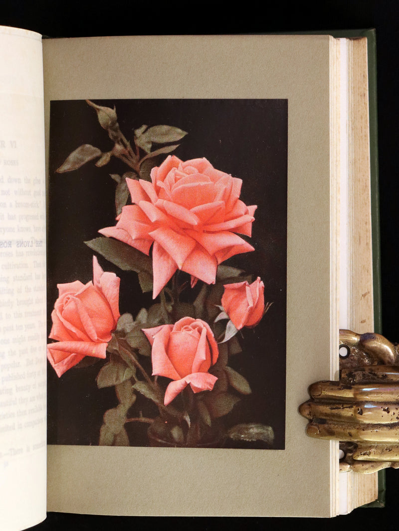 1913 Scarce First Edition - THE ROSE BOOK, A Complete Guide for Amateur Rose Growers by H.H. Thomas.