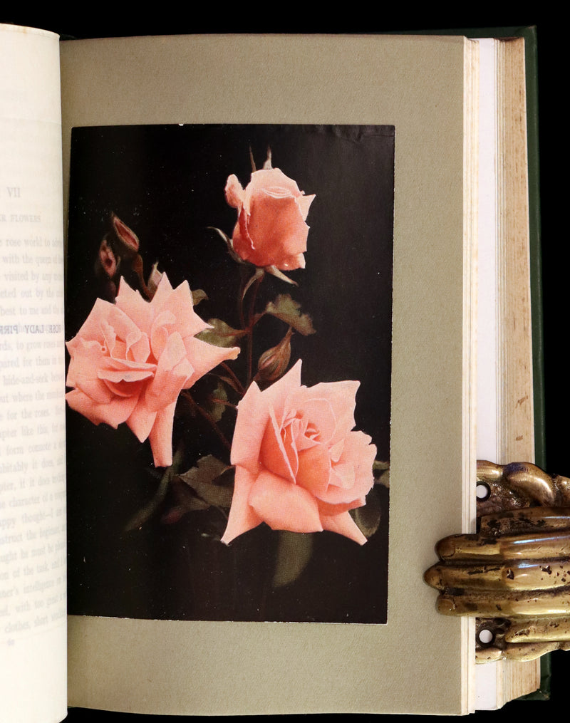1913 Scarce First Edition - THE ROSE BOOK, A Complete Guide for Amateur Rose Growers by H.H. Thomas.