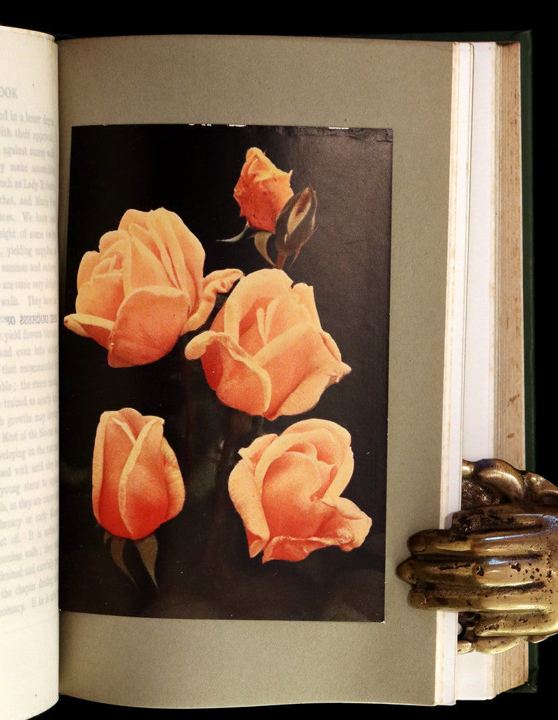 1913 Scarce First Edition - THE ROSE BOOK, A Complete Guide for Amateur Rose Growers by H.H. Thomas.