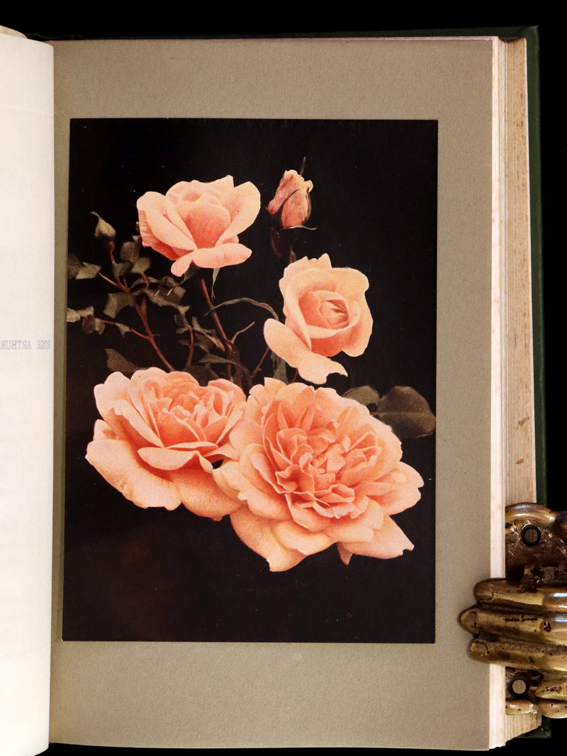 1913 Scarce First Edition - THE ROSE BOOK, A Complete Guide for Amateur Rose Growers by H.H. Thomas.