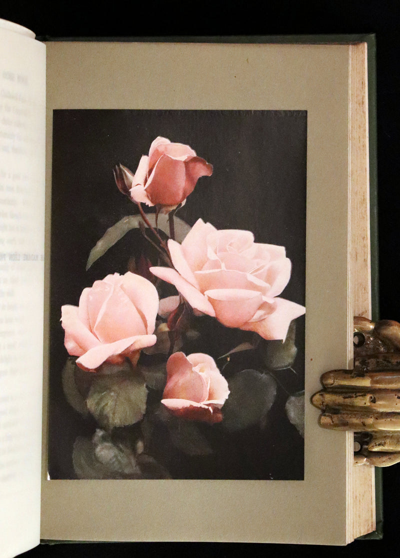 1913 Scarce First Edition - THE ROSE BOOK, A Complete Guide for Amateur Rose Growers by H.H. Thomas.