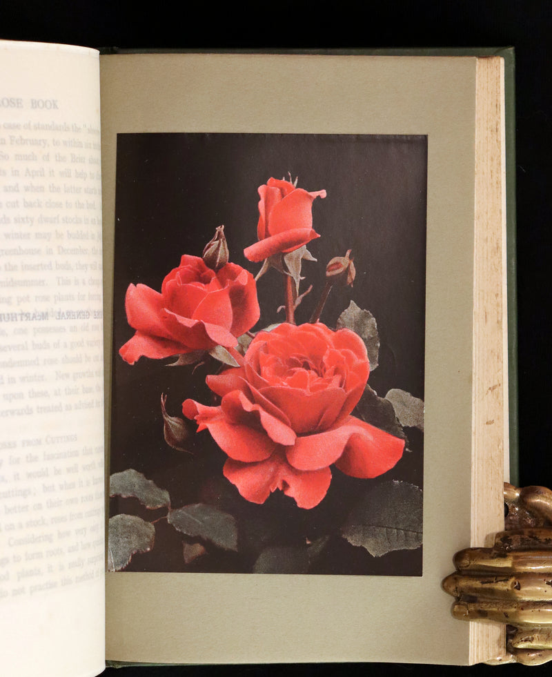1913 Scarce First Edition - THE ROSE BOOK, A Complete Guide for Amateur Rose Growers by H.H. Thomas.