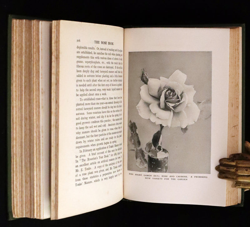 1913 Scarce First Edition - THE ROSE BOOK, A Complete Guide for Amateur Rose Growers by H.H. Thomas.