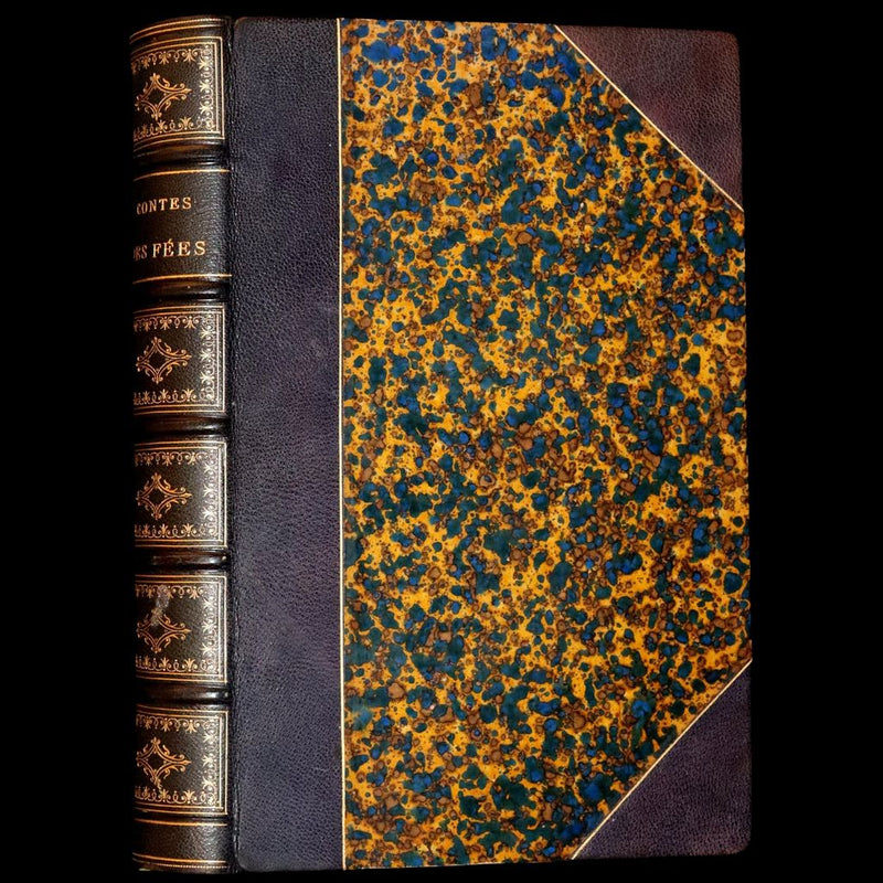1870 Scarce French Book - Fairy Tales, Contes des Fees by Perrault, Mme d'Aulnoy, and others.