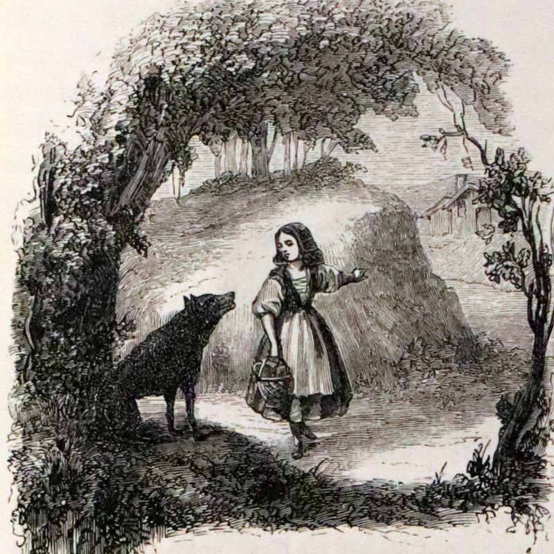 1870 Scarce French Book - Contes des Fees, Fairy Tales by Perrault, Mme d'Aulnoy, Hamilton, Mme Leprince de Beaumont.