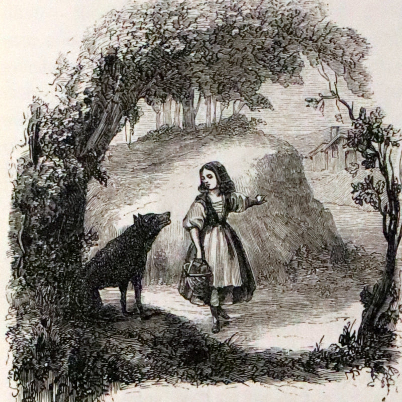 1870 Scarce French Book - Fairy Tales, Contes des Fees by Perrault, Mme d'Aulnoy, and others.