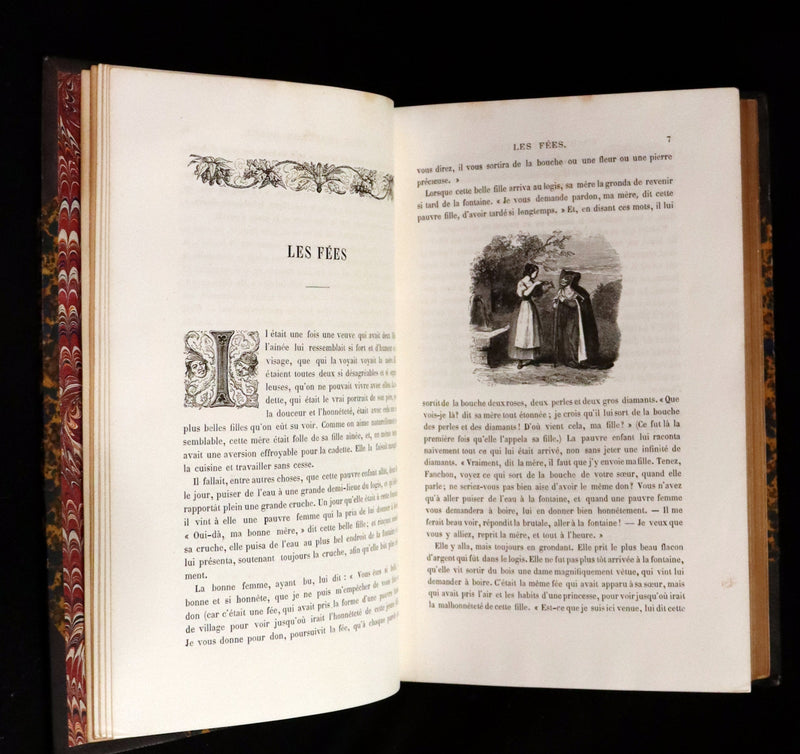 1870 Scarce French Book - Fairy Tales, Contes des Fees by Perrault, Mme d'Aulnoy, and others.