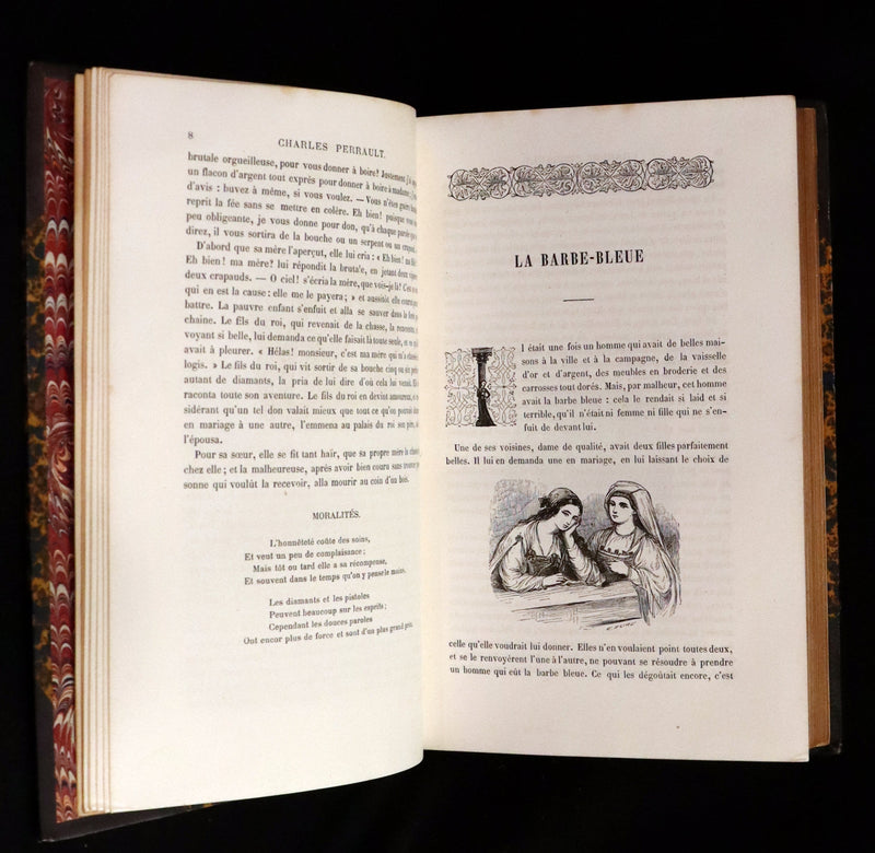1870 Scarce French Book - Fairy Tales, Contes des Fees by Perrault, Mme d'Aulnoy, and others.