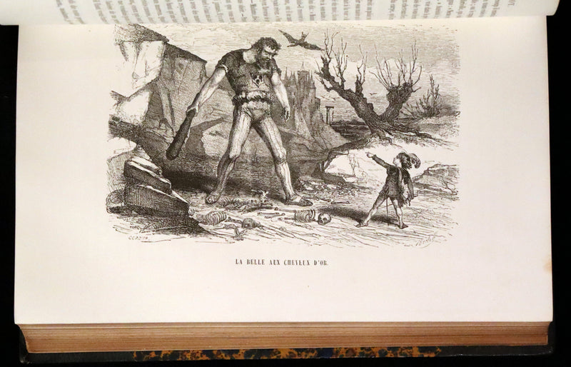1870 Scarce French Book - Fairy Tales, Contes des Fees by Perrault, Mme d'Aulnoy, and others.