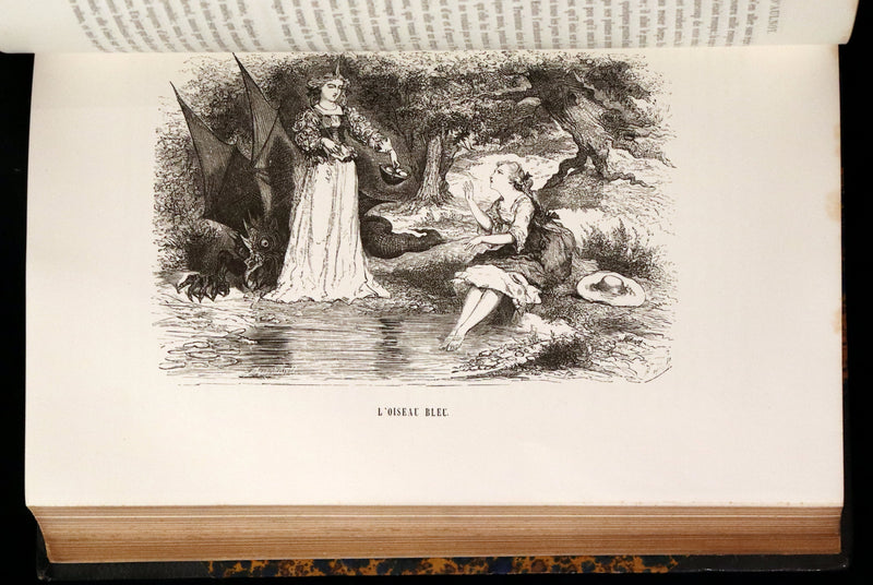 1870 Scarce French Book - Fairy Tales, Contes des Fees by Perrault, Mme d'Aulnoy, and others.