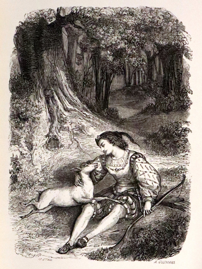 1870 Scarce French Book - Fairy Tales, Contes des Fees by Perrault, Mme d'Aulnoy, and others.