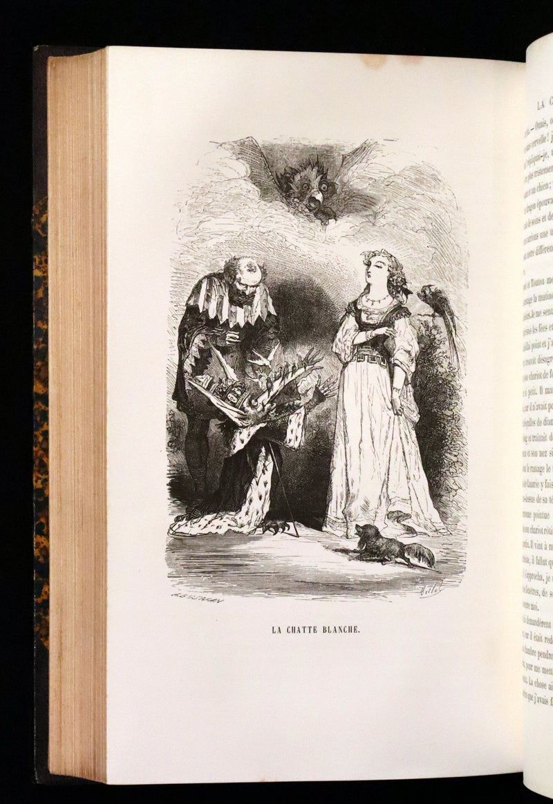 1870 Scarce French Book - Fairy Tales, Contes des Fees by Perrault, Mme d'Aulnoy, and others.