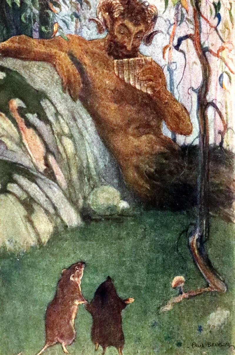 1913 First Edition illustrated by Paul BRANSOM - The WIND IN THE WILLOWS by K. Grahame.