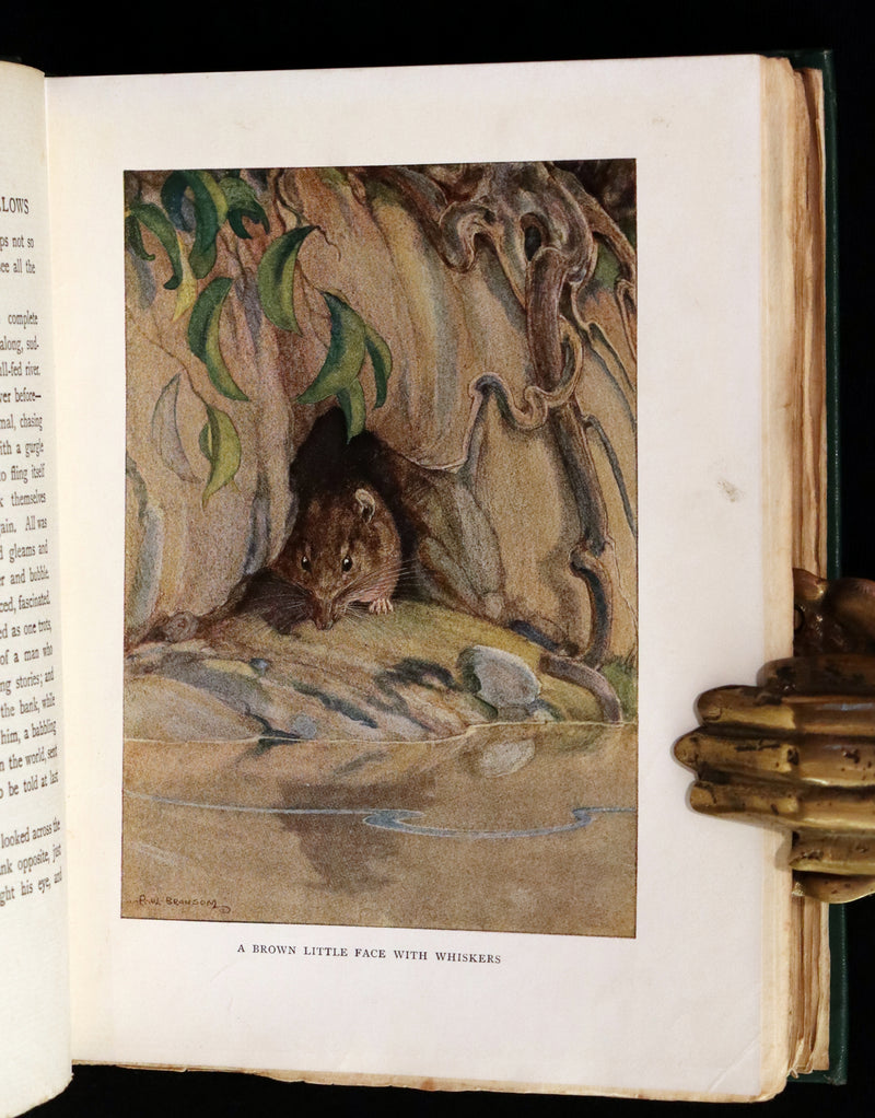 1913 First Edition illustrated by Paul BRANSOM - The WIND IN THE WILLOWS by K. Grahame.