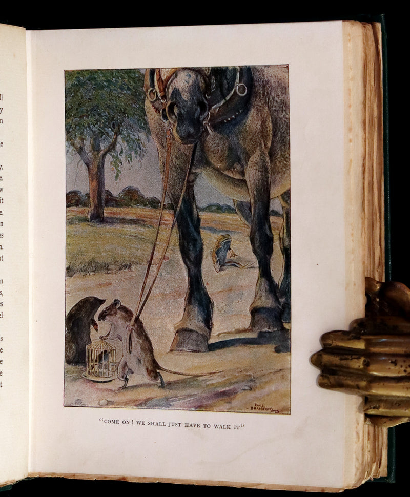 1913 First Edition illustrated by Paul BRANSOM - The WIND IN THE WILLOWS by K. Grahame.