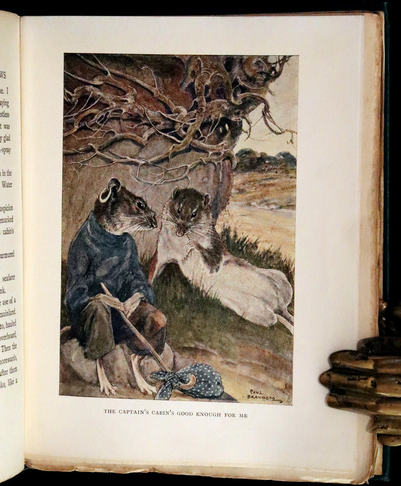 1913 First Edition illustrated by Paul BRANSOM - The WIND IN THE WILLOWS by K. Grahame.