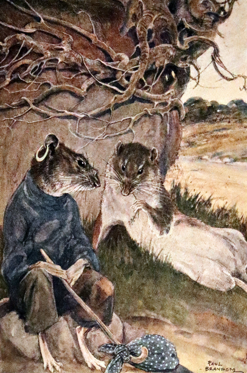 1913 First Edition illustrated by Paul BRANSOM - The WIND IN THE WILLOWS by K. Grahame.