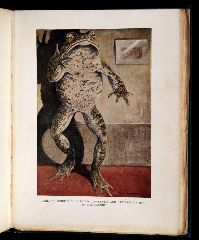 1913 First Edition illustrated by Paul BRANSOM - The WIND IN THE WILLOWS by K. Grahame.