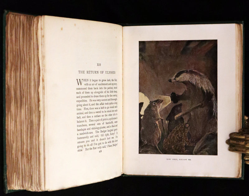 1913 First Edition illustrated by Paul BRANSOM - The WIND IN THE WILLOWS by K. Grahame.